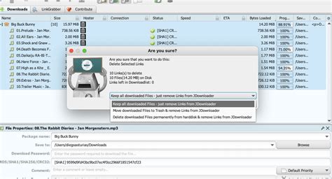 jdownloader try restarting this link|JDownloader Support .